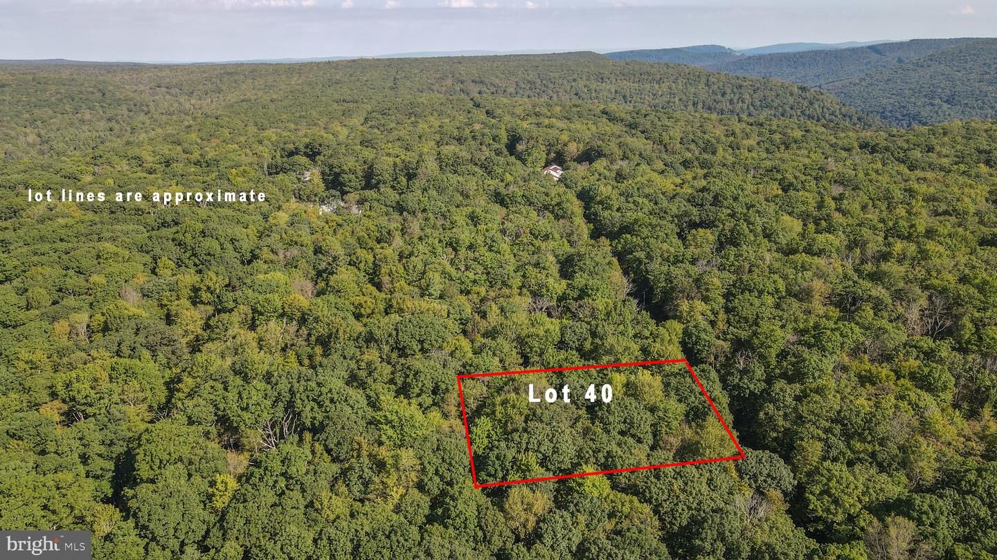 Property Photo:  Lot 40 Dogwood Drive  MD 21550 
