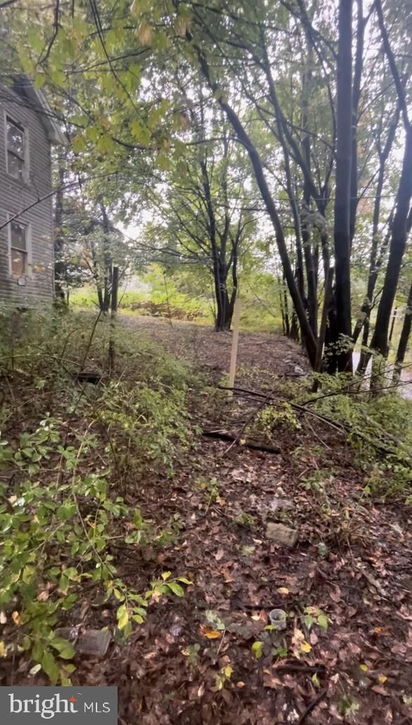 Property Photo:  11 Willow Street  PA 17976 