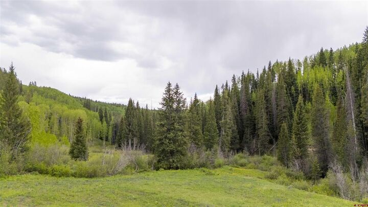 Property Photo: Tbd Ohio Creek Road CO 81230