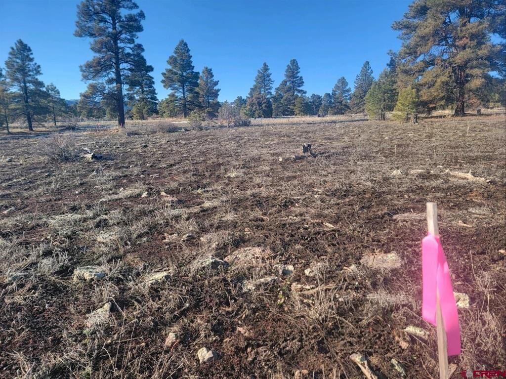 Property Photo:  660 Trails Boulevard  CO 81147 