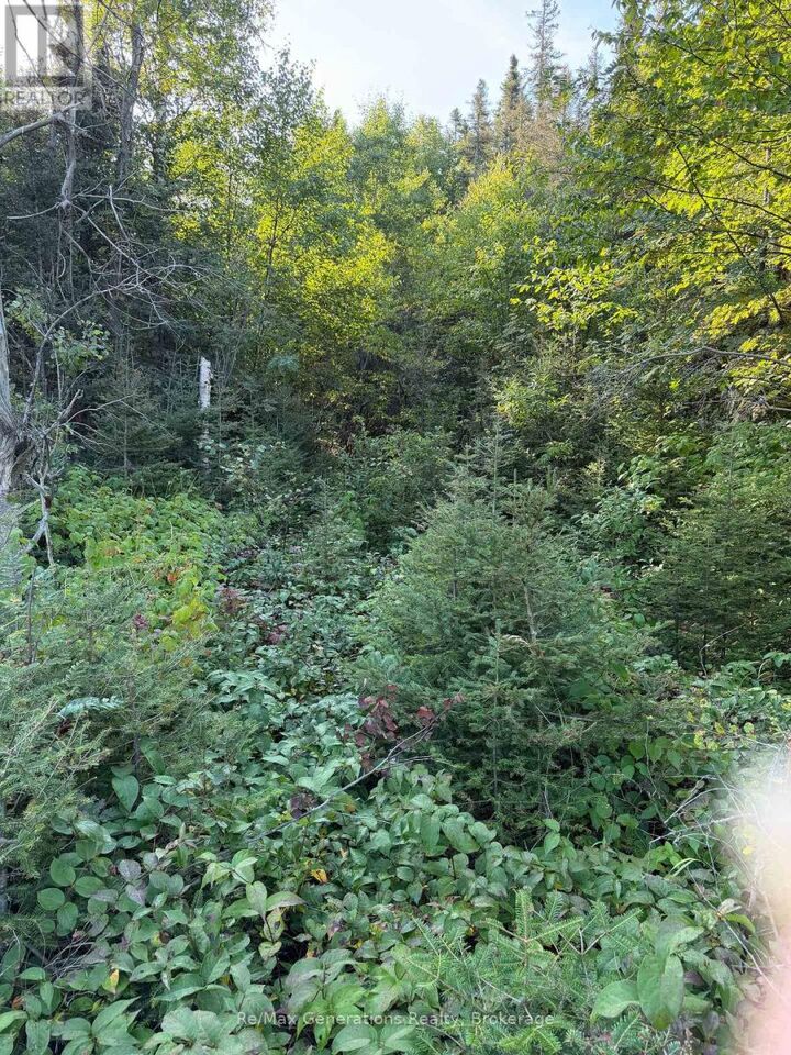 Property Photo:  0 Off Hwy 17 South  ON P0T 2S0 