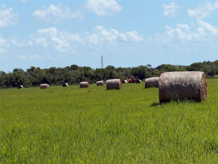Property Photo:  0 County Road 170  TX 77511 