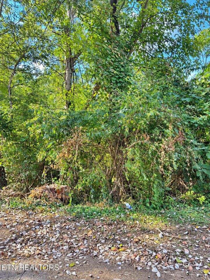 Property Photo: 0 Maryland Ave TN 37921