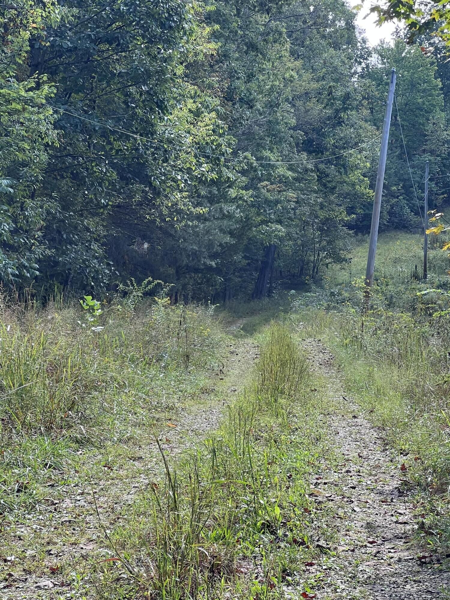 Property Photo:  3859 Watson Ridge Road  KY 40472 