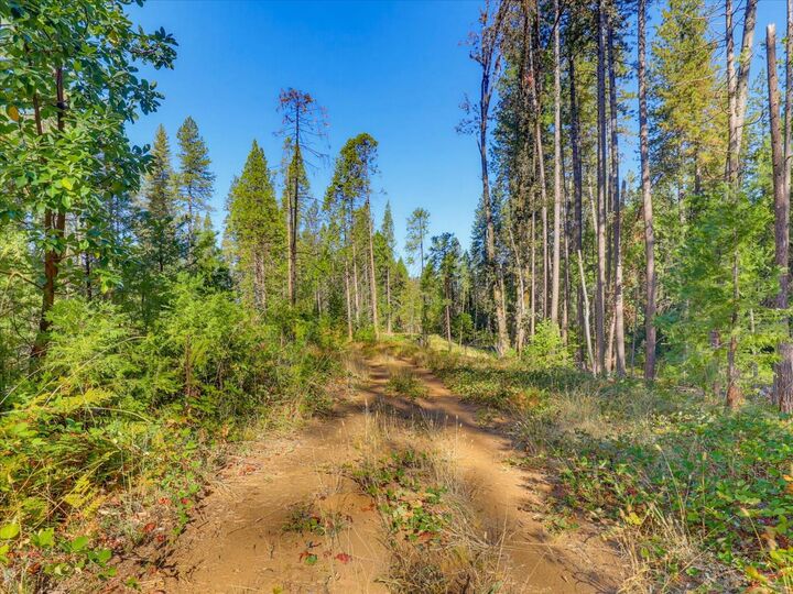 Property Photo: 13492 Gracie Road CA 95959