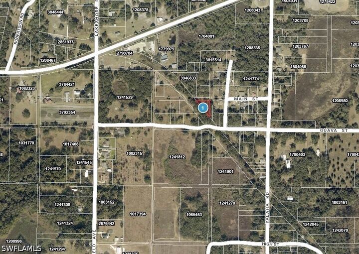 Property Photo: Xxx Tangerine Street FL 34797