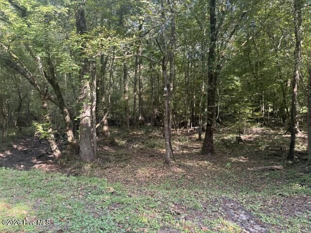 Property Photo: B02-16 Olympia Road NC 28560
