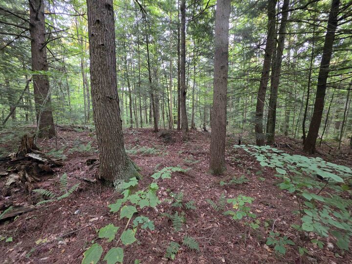 Property Photo:  Lot#7 Woodland Drive  VT 05859 