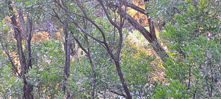 Property Photo:  13214 Park Road 37  TX 78603 