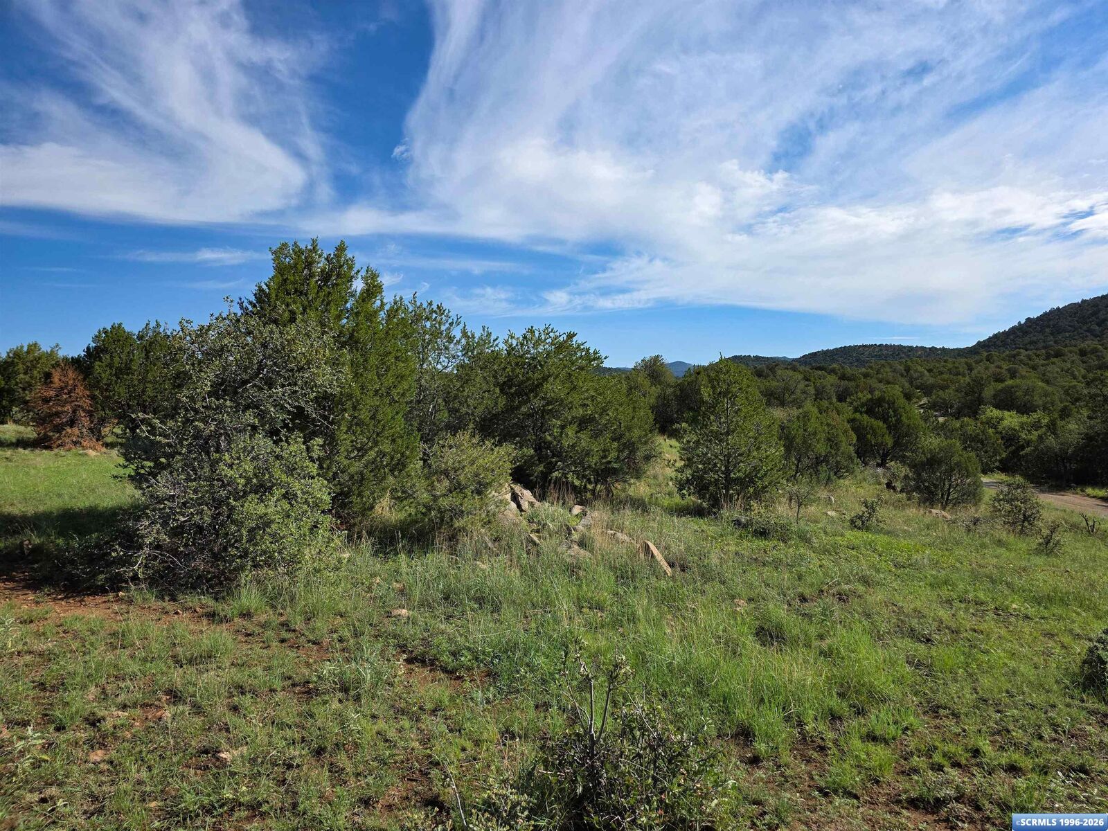 Property Photo:  37-X3 Black Dog Road  NM 88061 