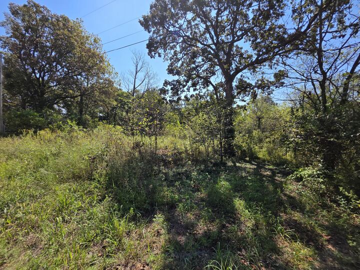 Property Photo:  000 E Abbott Road  MO 64783 