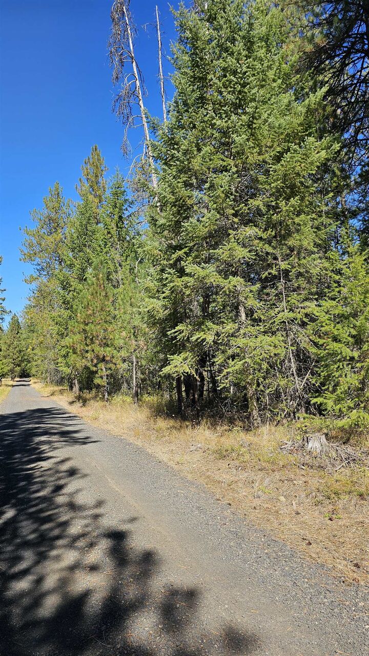 Property Photo:  385X Agar Rd  WA 99148 