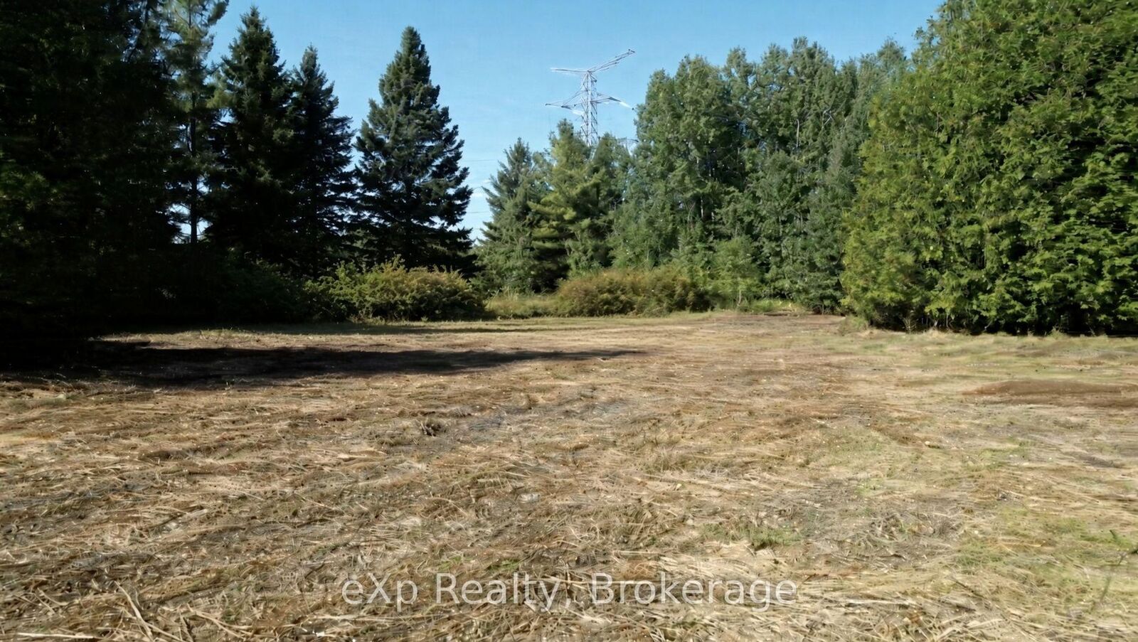 Property Photo:  133272 Allan Park Road  ON N4N 3B8 