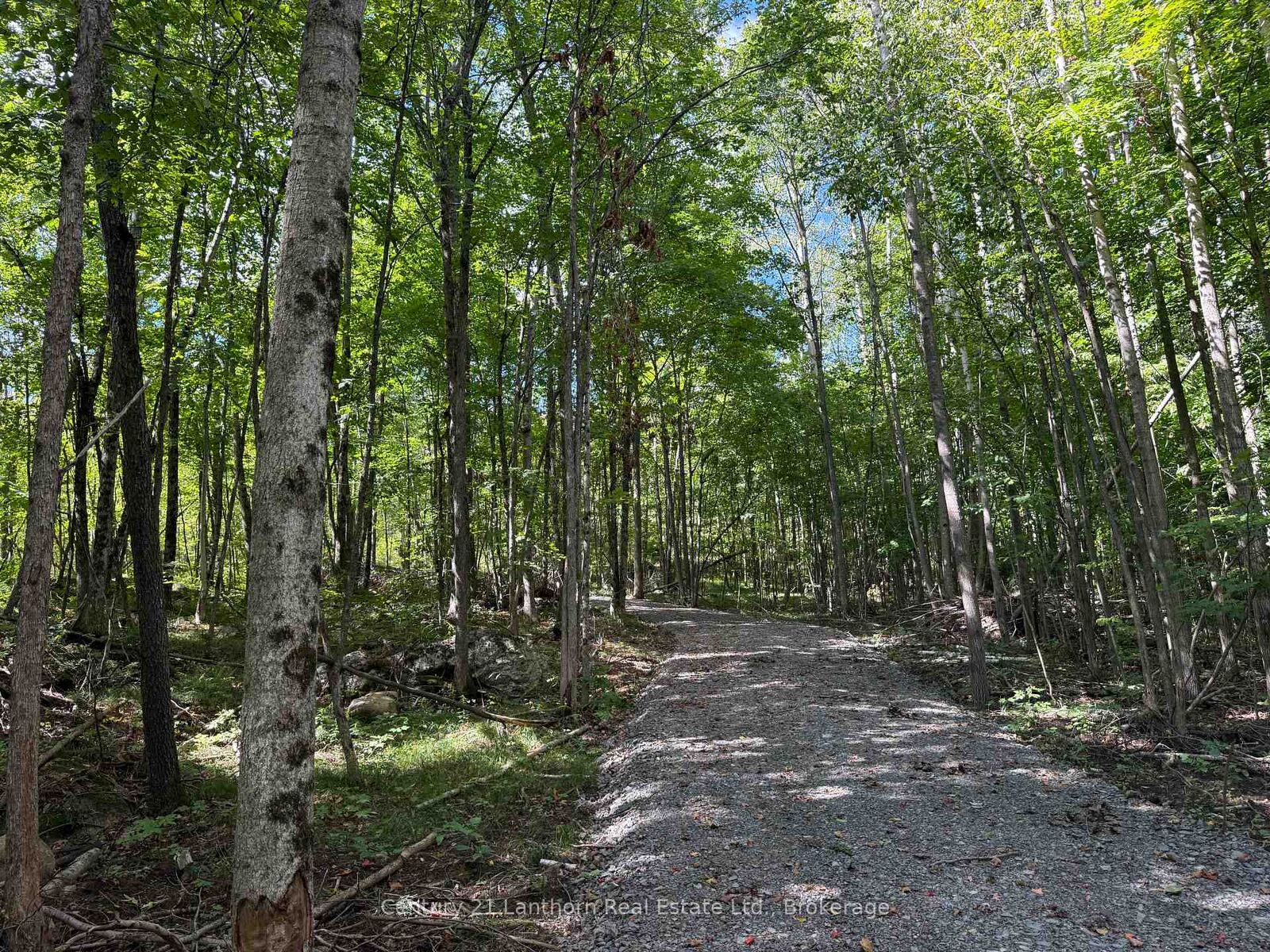 Property Photo:  00 Middle Lot Highway 62 N/A  ON K0K 2K0 