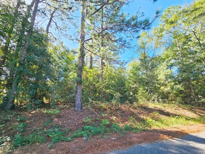 Property Photo:  6114 Poplar Road  GA 31705 