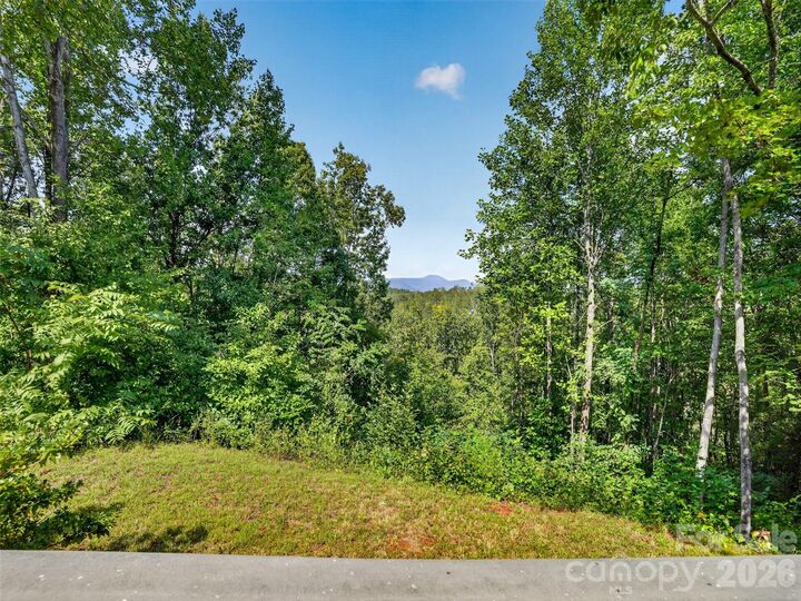 Property Photo: 484 Briar Patch Lane NC 28773