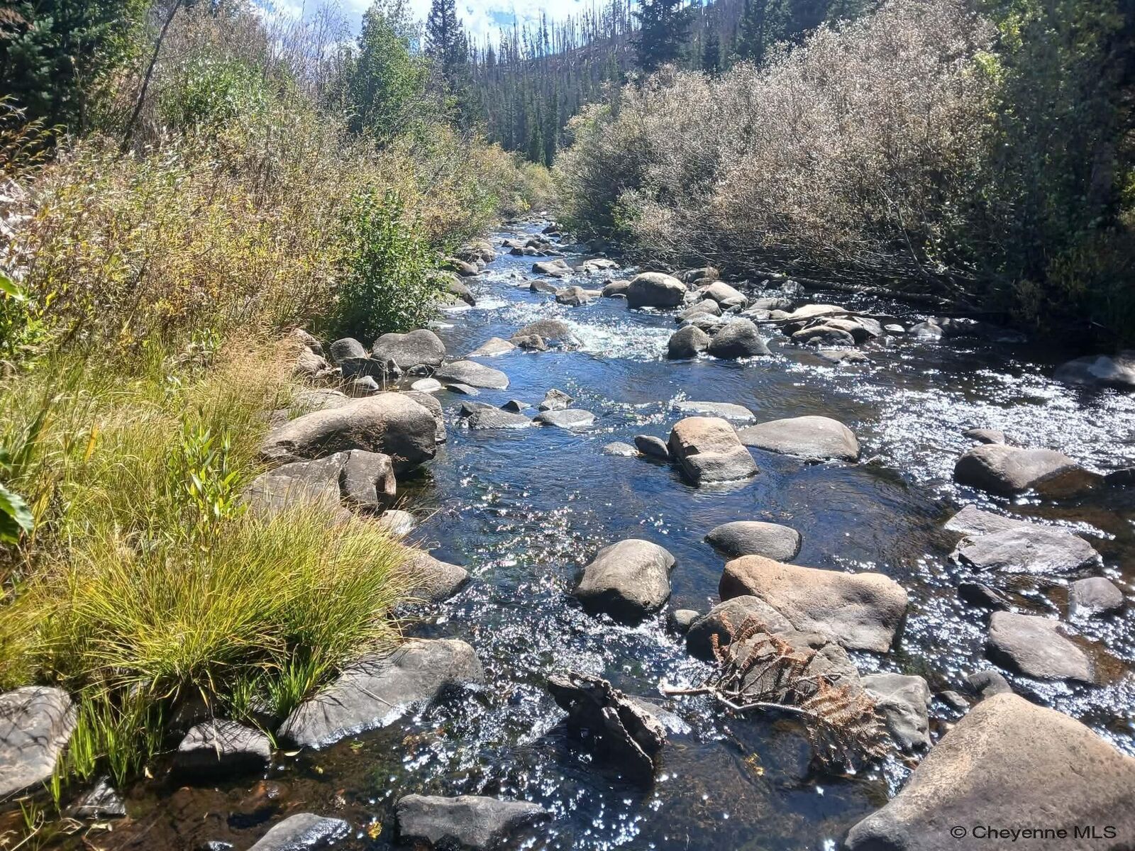 Property Photo:  Tbd Keystone Lode Rd  WY 82070 