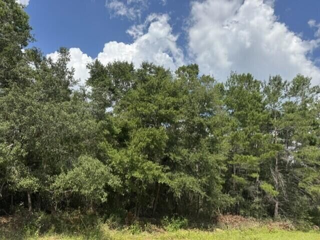 Property Photo:  Lot 8 Bushton Street  FL 32566 