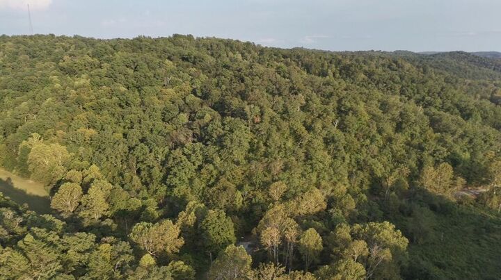 Property Photo:  0 North Hwy 201  KY 41180 