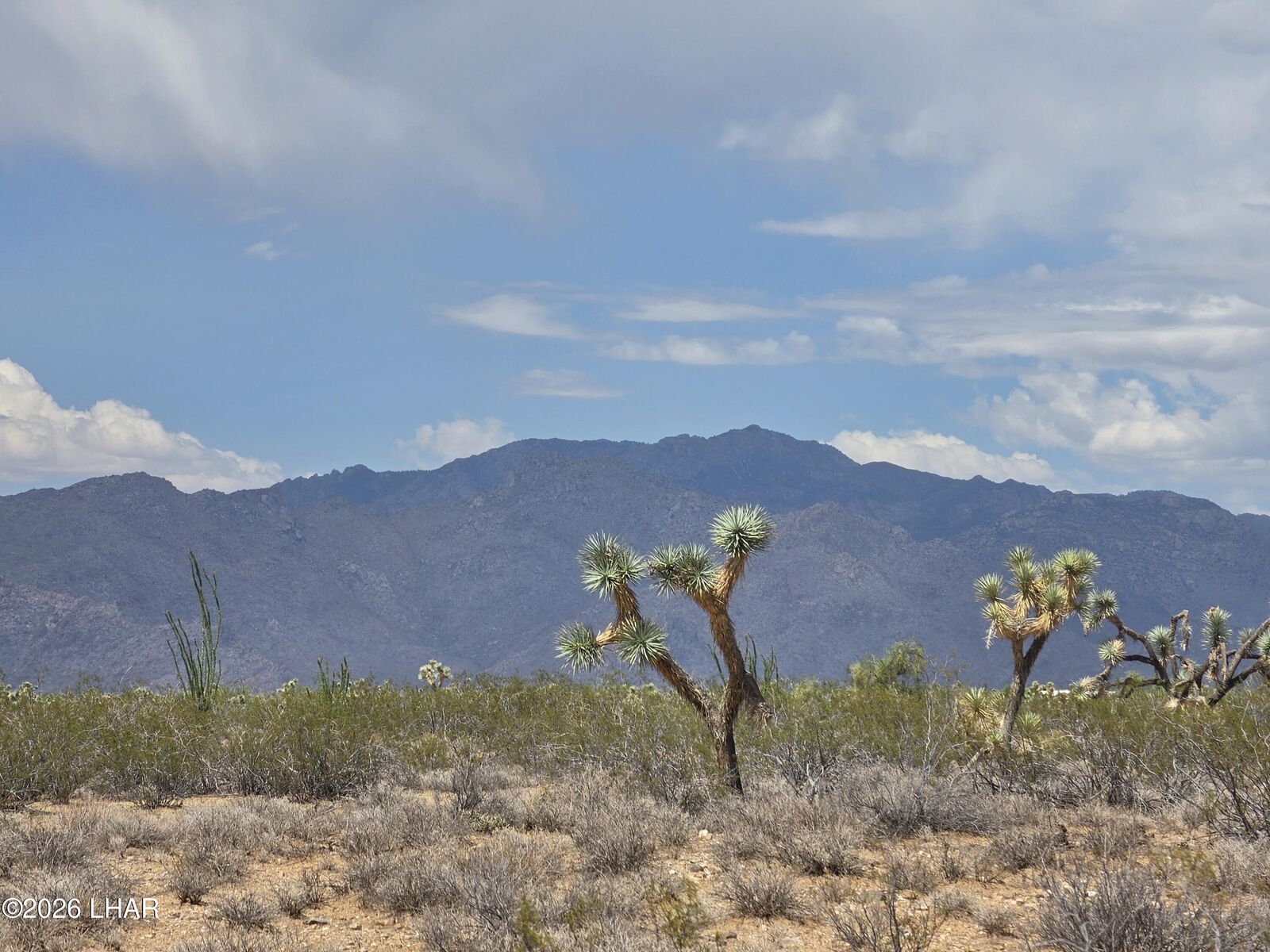 Property Photo:  243-10-020 Alamo Rd  AZ 86438 