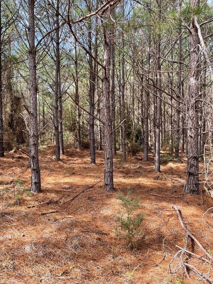 Property Photo:  1870 County Road 546  TX 75961 