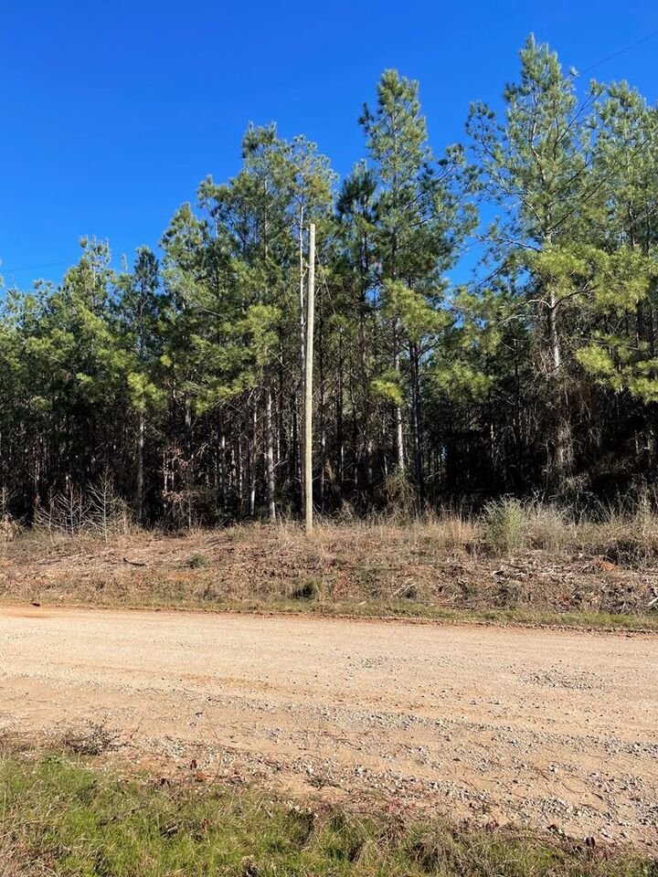 Property Photo:  1870 County Road 546  TX 75961 