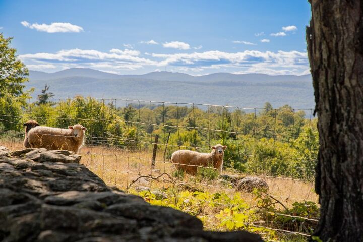 Property Photo: 95 Goat Farm Road VT 05763