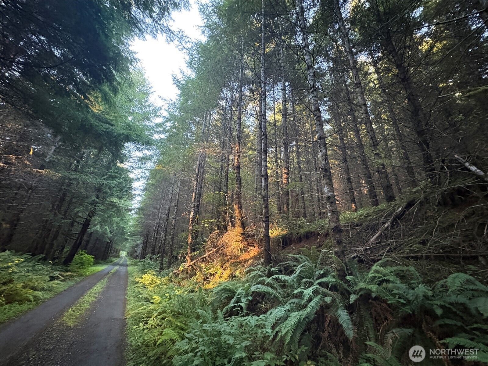 Property Photo: 0 Nka Wiest Road WA 98632