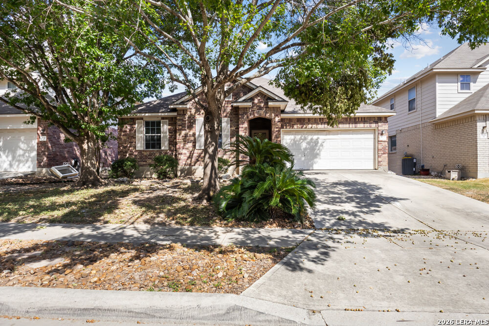 Property Photo: 224 Lieck Cv TX 78108