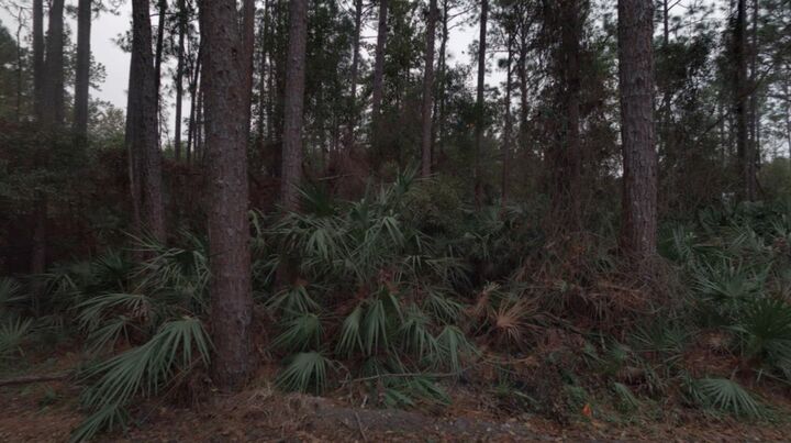 Property Photo: 983 Bruen St FL 32084