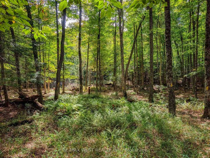 Property Photo:  131 Deerfoot Trail  ON P1H 0A8 