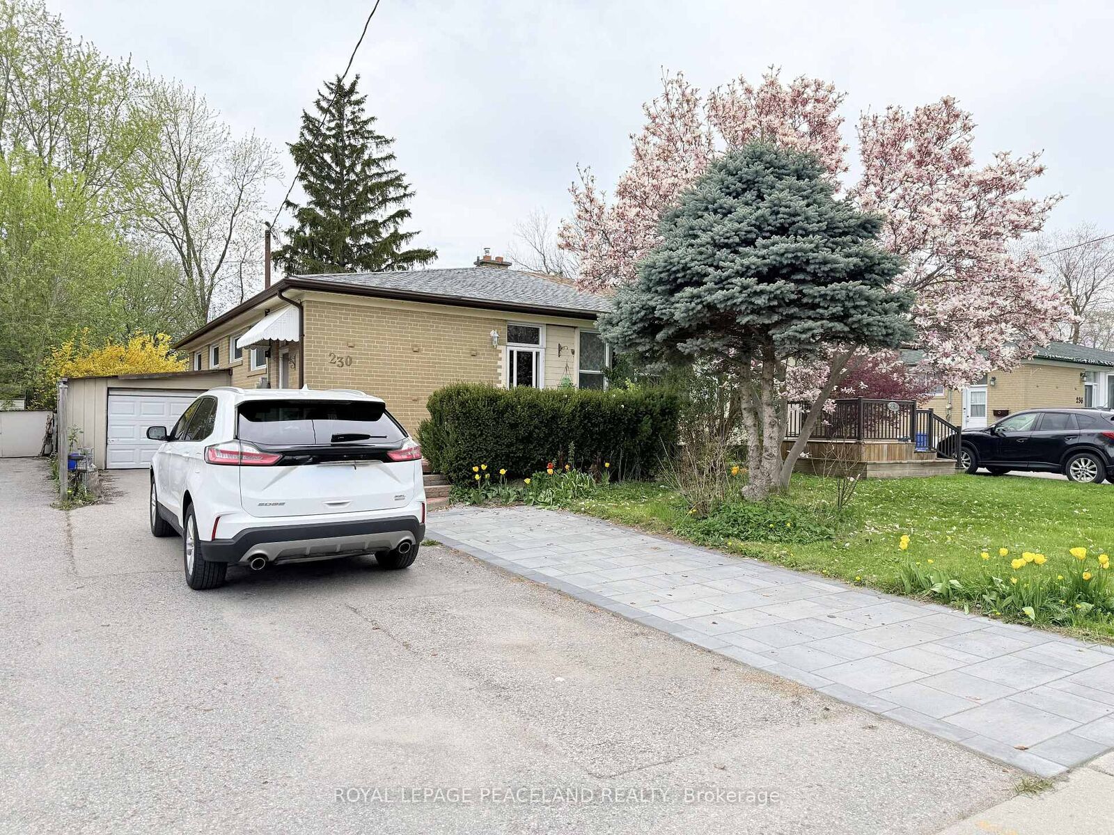 Property Photo: 230 Axminster Drive Basement ON L4C 2W1