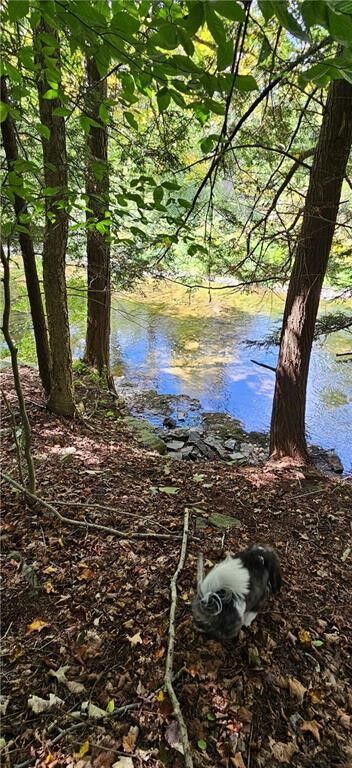 Property Photo:  Lafayette Road  NY 13045 