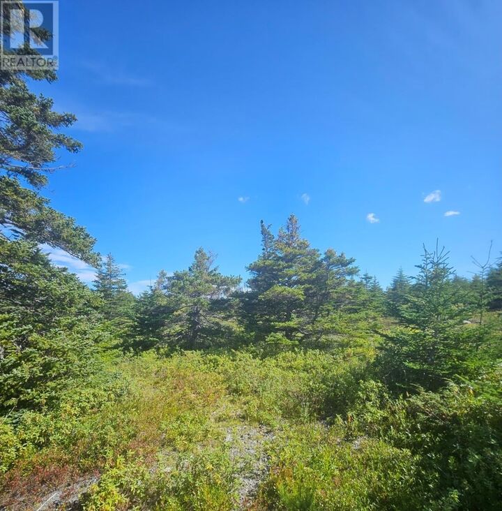 Property Photo:  95A Chipmans Road  NL A0A 3X0 