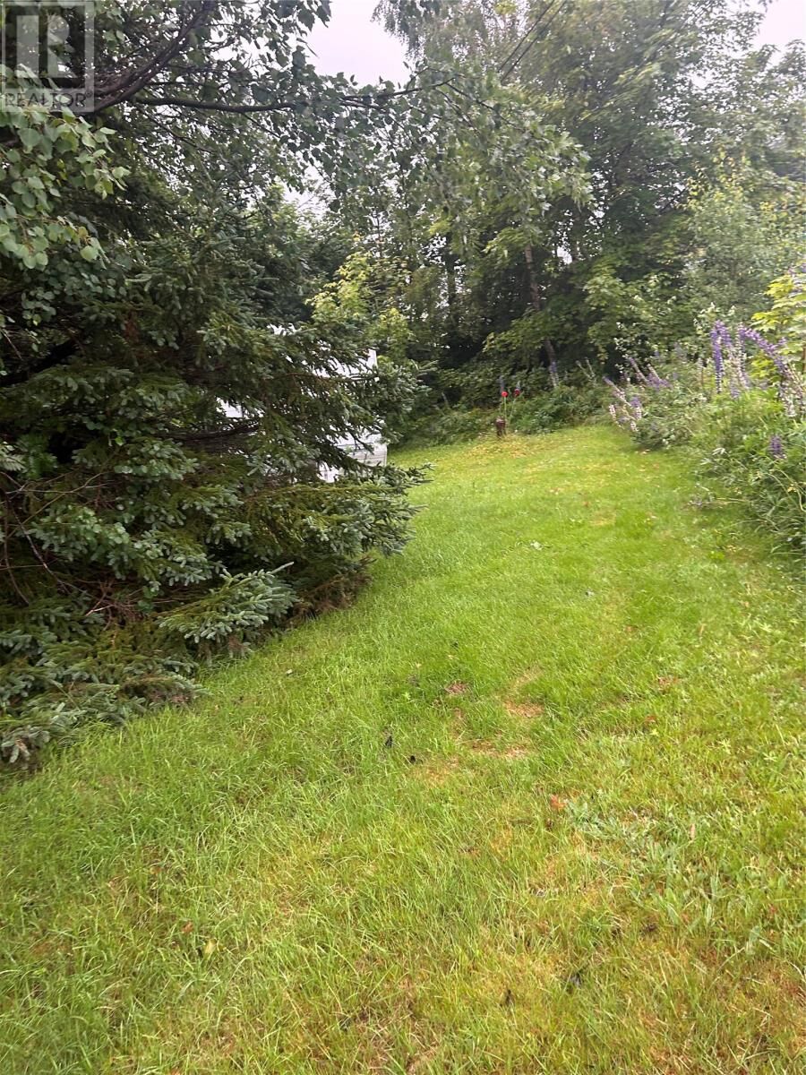Property Photo:  284 Main Street  NL A0B 1N0 