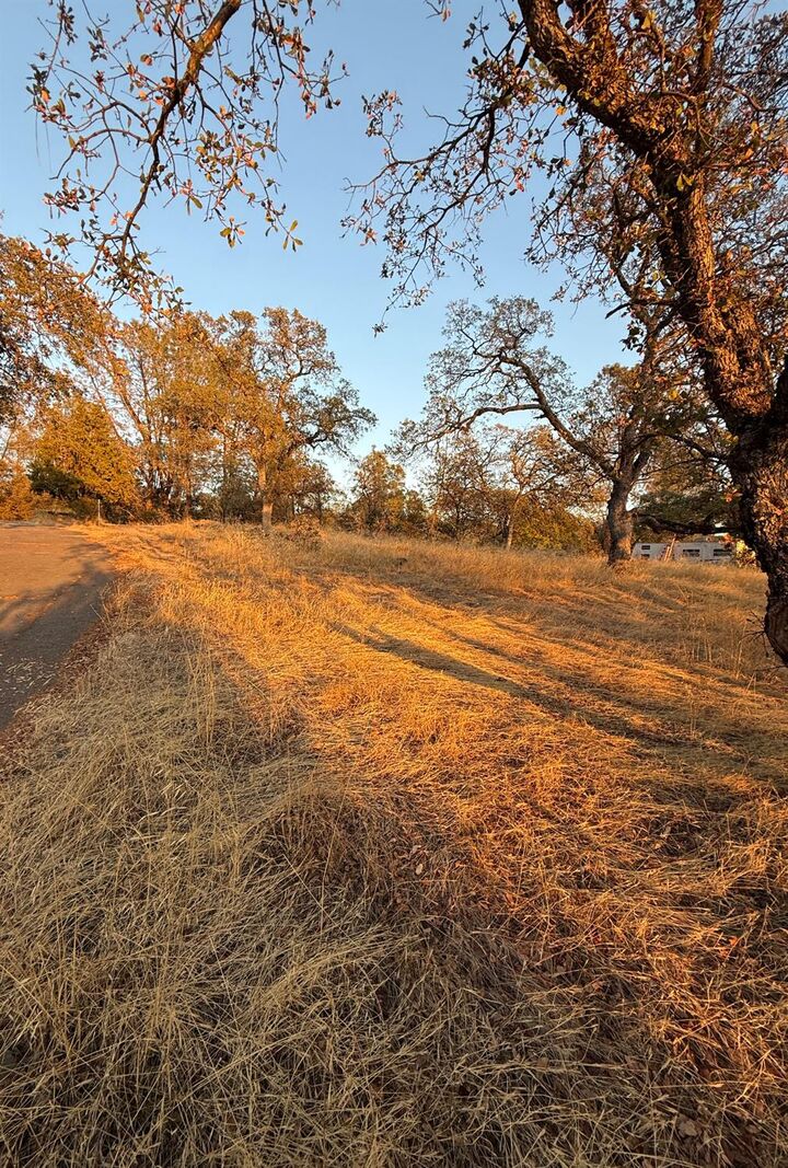 Property Photo:  0 Ridgeview Lane  CA 95966 