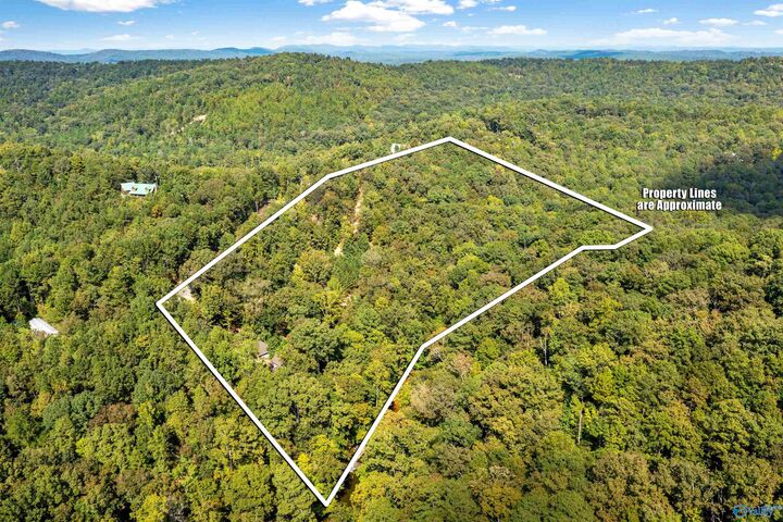 Property Photo:  1595 Mohawk Cliff Road  AL 36271 