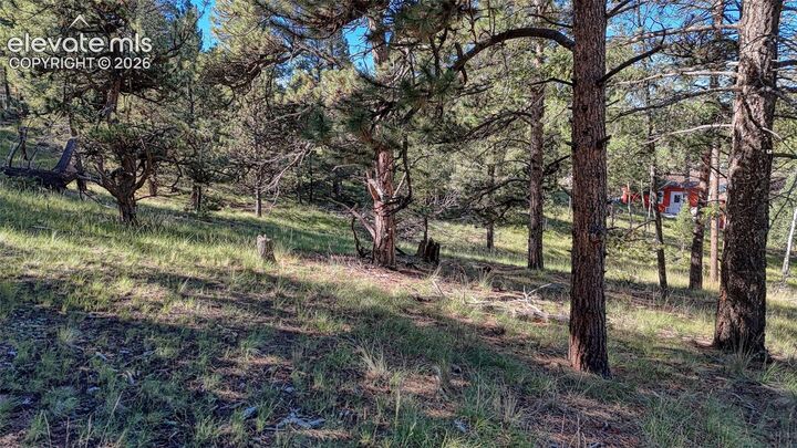 Property Photo:  91 Utah Way  CO 80816 
