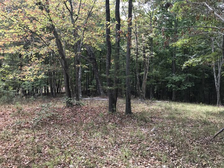 Property Photo: 103-B Bluffview Drive TN 37327