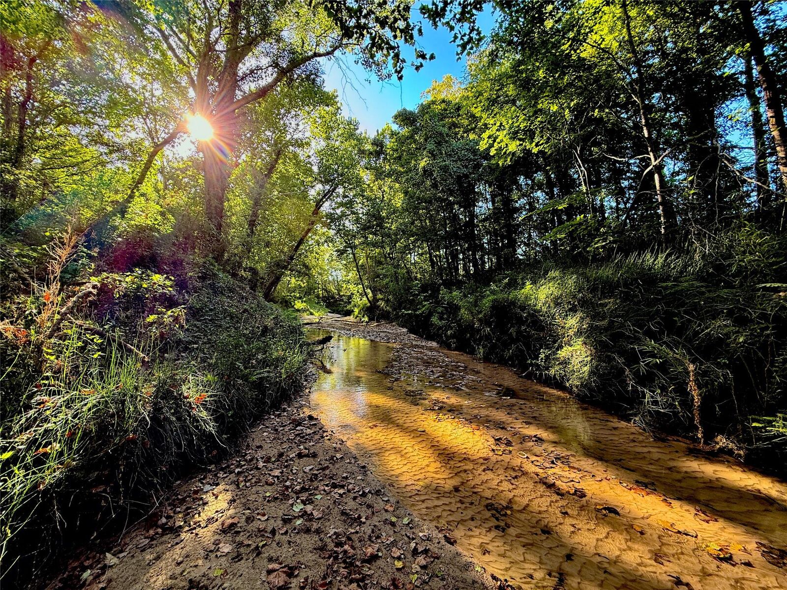Property Photo:  700 County Road 4120  TX 75979 
