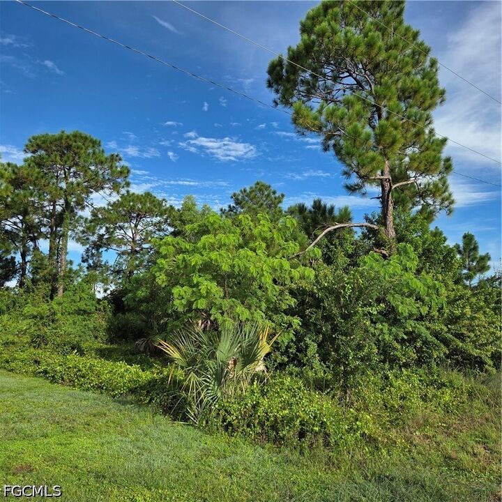 Property Photo:  1250 Blaine Avenue  FL 33913 