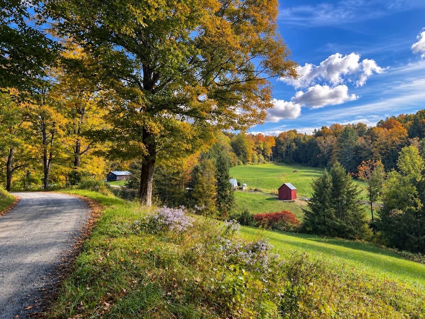 Property Photo:  6405 Folding Hills Road  VT 05071 