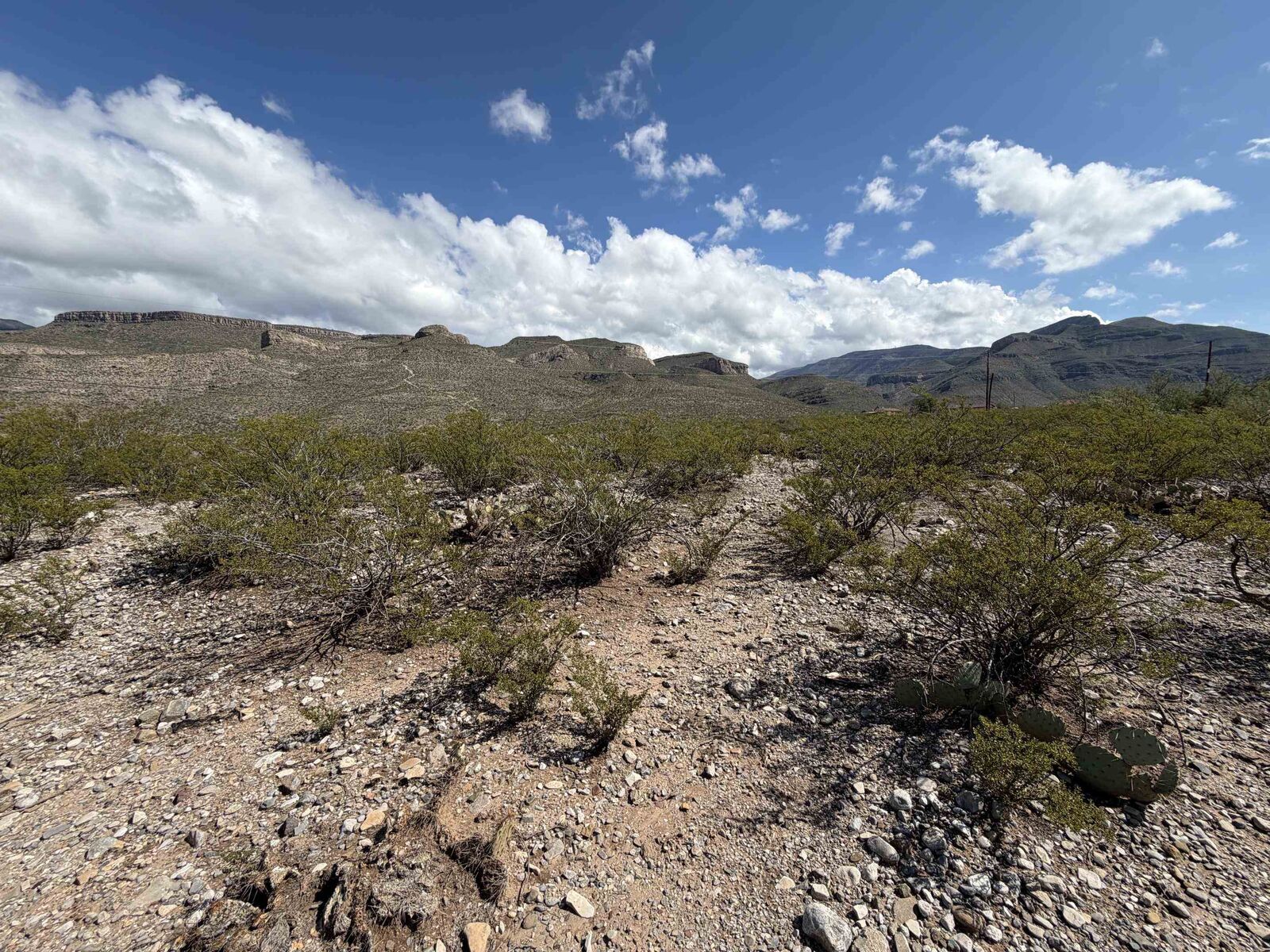 Property Photo:  Lot 1  NM 88310 