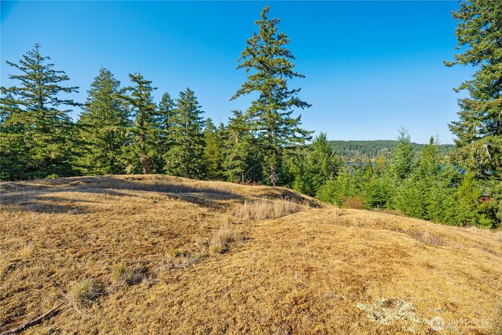 Property Photo:  0  Woodpecker Lane  WA 98250 