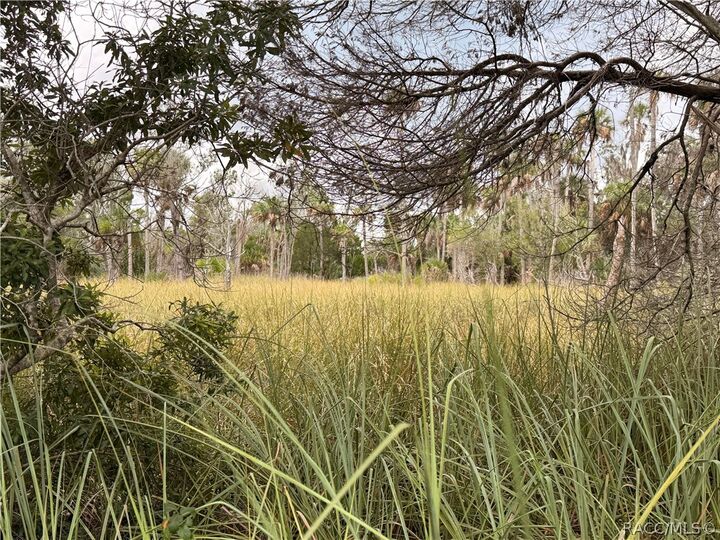 Property Photo:  12039 W Fort Island Trail  FL 34429 