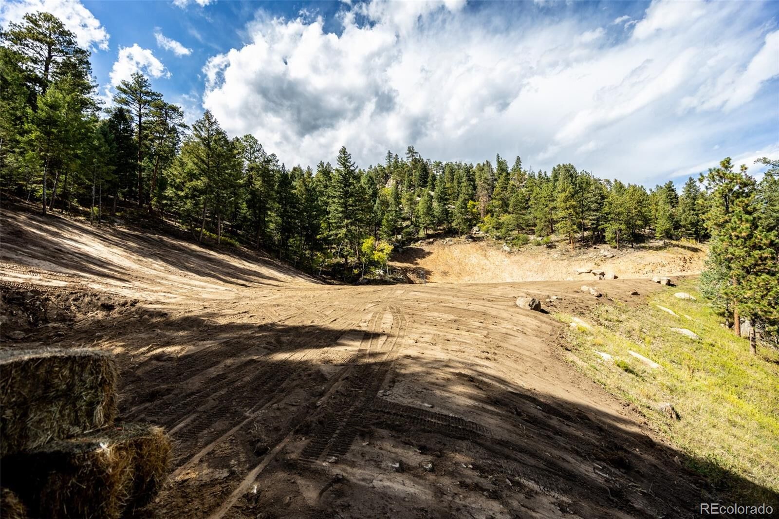 Property Photo:  9489 S Turkey Creek Road  CO 80465 