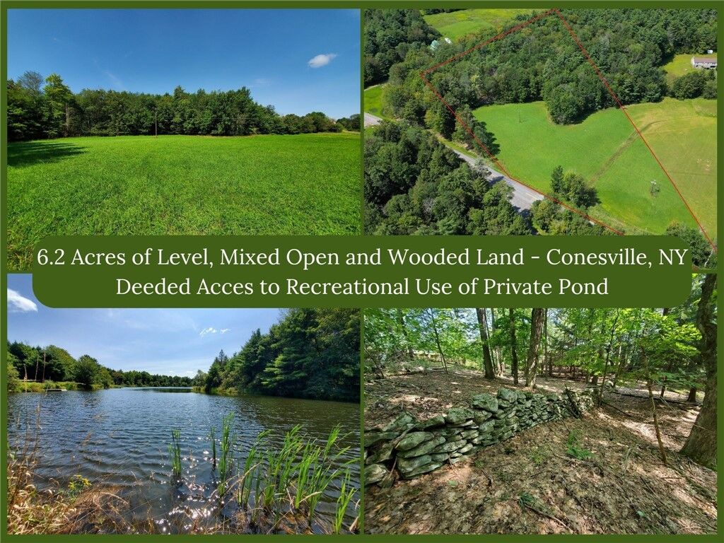 Property Photo: Lot 10 Bull Hill Road NY 12076