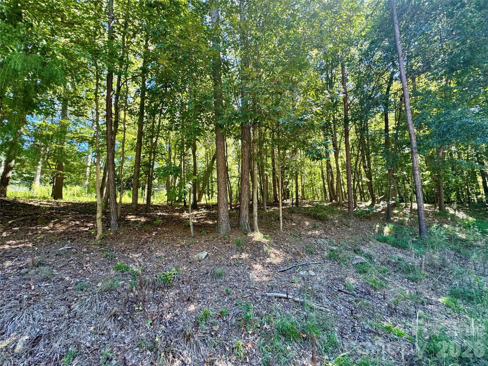 Property Photo:  10062 Southwinds Drive  SC 29707 