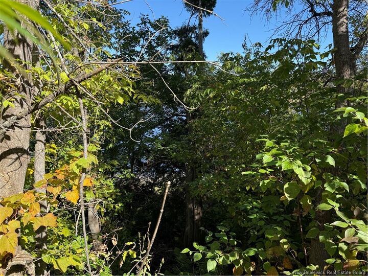 Property Photo: 33 Bath Ferry Road NB E7L 3S7