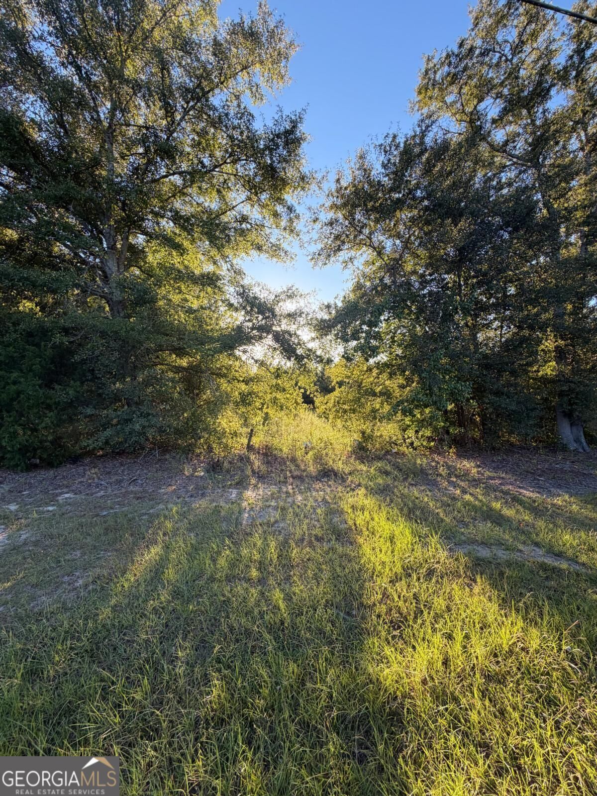 Property Photo:  0 Hwy 1 N  GA 30401 